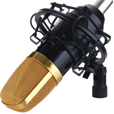 микрофон BM700